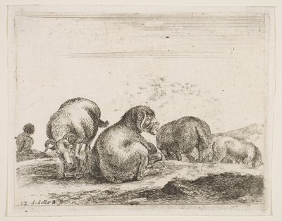 Plate 12: sau og vær på beite, fra Diverse dyr Diversi animali, ca. 1641. av Stefano della Bella