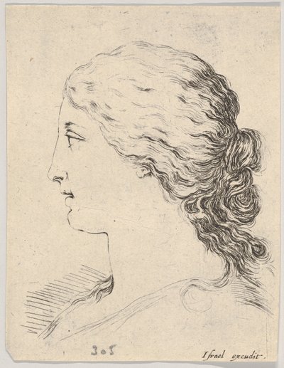 Plate 14: hodet til en kvinne, i profil, fra 