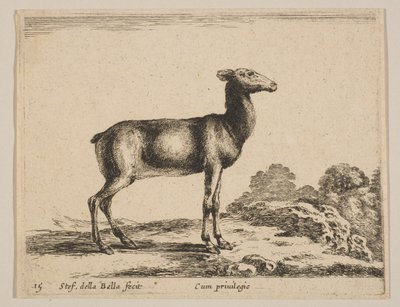 Plate 15: doe, fra 