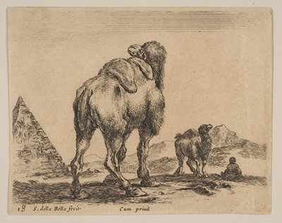 Plate 18: kamel sett bakfra med pyramide til venstre, fra 