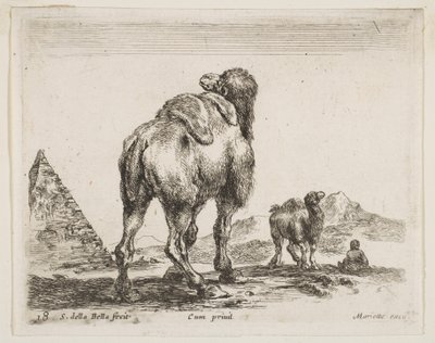 Plate 18: kamel sett bakfra med pyramide til venstre, fra Diverse dyr Diver..., ca. 1641. av Stefano della Bella