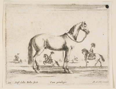 Plate 21: hest, fra Diverse dyr Diversi animali, 1641. av Stefano della Bella