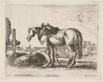 Plate 22: kjerrehest, fra Diverse dyr Diversi animali, ca. 1641. av Stefano della Bella