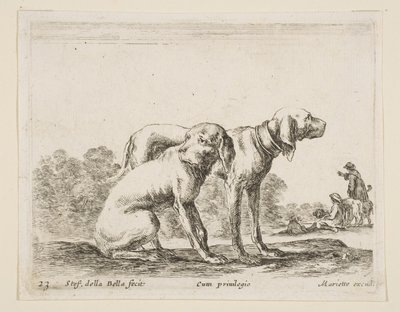 Plate 23: to hunder, fra Diverse dyr Diversi animali, ca. 1641. av Stefano della Bella