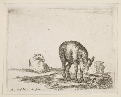 Plate 24: esler, fra Diverse dyr Diversi animali, ca. 1641. av Stefano della Bella