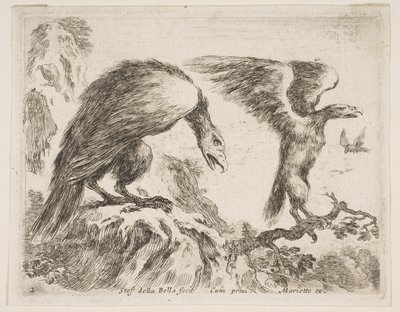 Plate 2: ørn og ørn, fra Diverse dyr Diversi animali, ca. 1641. av Stefano della Bella