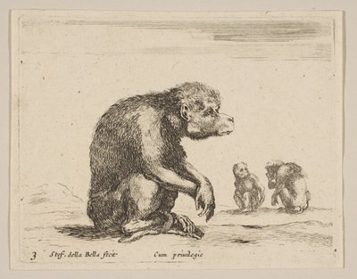 Plate 3: sittende ape, fra Diverse dyr Diversi animali, ca. 1641. av Stefano della Bella