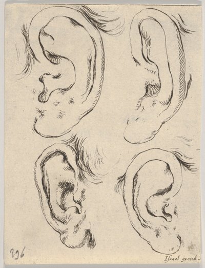 Plate 5: fire ører, fra The Book for Learning to Draw Book for learning to draw..., ca. 1649. av Stefano della Bella