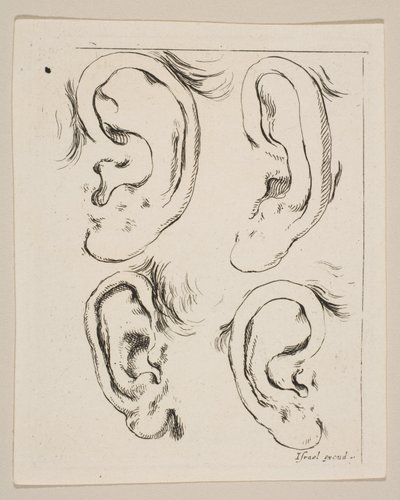 Plate 5: fire ører, fra The Book for Learning to Draw Book for learning to draw..., ca. 1649. av Stefano della Bella