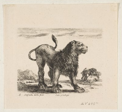 Plate 6: løve, fra 'Various animals' Diversi animali, ca. 1641. av Stefano della Bella