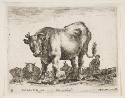 Plate 8: ku, fra Diverse dyr Diversi animali, ca. 1641. av Stefano della Bella