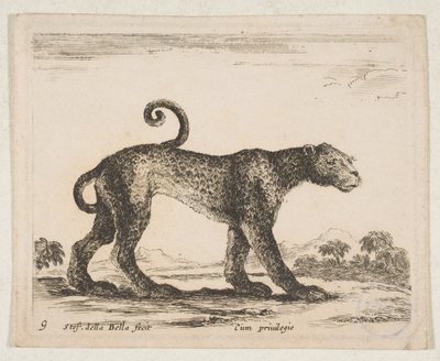 Plate 9: leopard, fra 