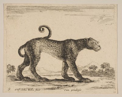 Plate 9: leopard, fra Diverse dyr Diversi animali, ca. 1641. av Stefano della Bella