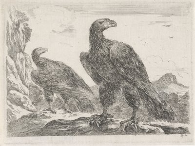 To ørner med hodet til høyre Eagles (serietittel) av Stefano della Bella