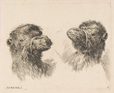 To kamelhoder, ca. 1641. av Stefano della Bella