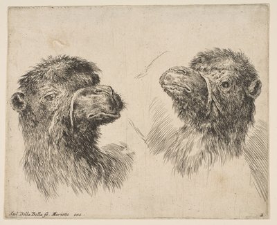 To kamelhoder, ca. 1641. av Stefano della Bella