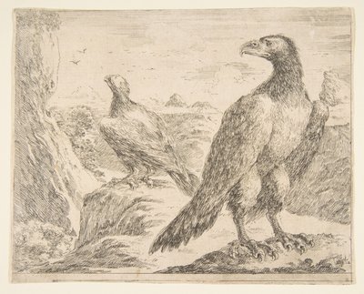 To ørner, fra Eagles Les aigles, ca. 1651. av Stefano della Bella