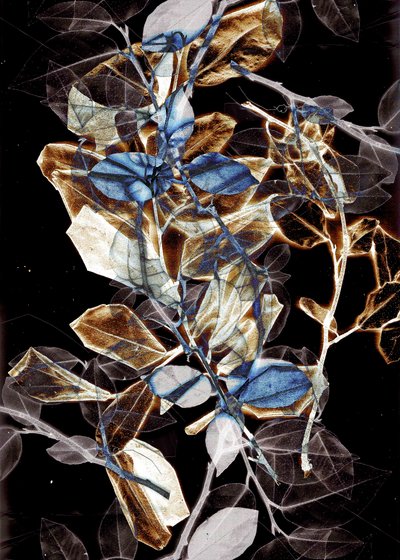  av Stephen Dow