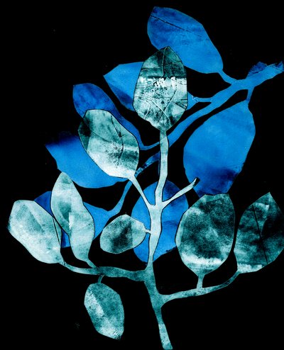  av Stephen Dow