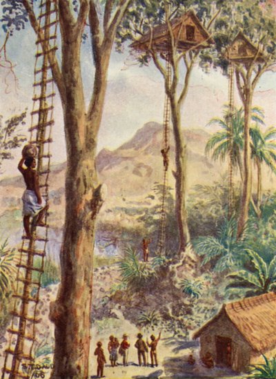 Illustrasjon av biskop Pattesons liv (fargelitografi) av Stephen T. Dadd