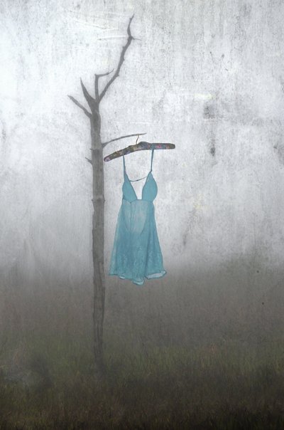  av Steven Gibson