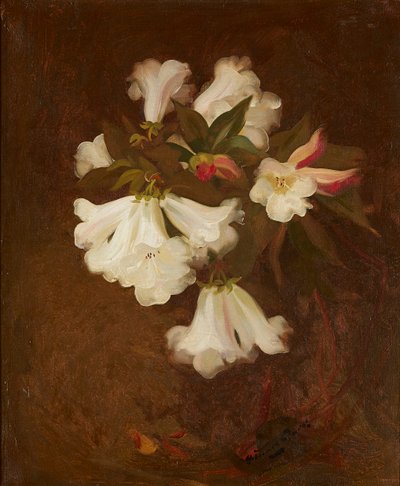 A Still Life of White Lilies (olje på lerret) av Stuart Park