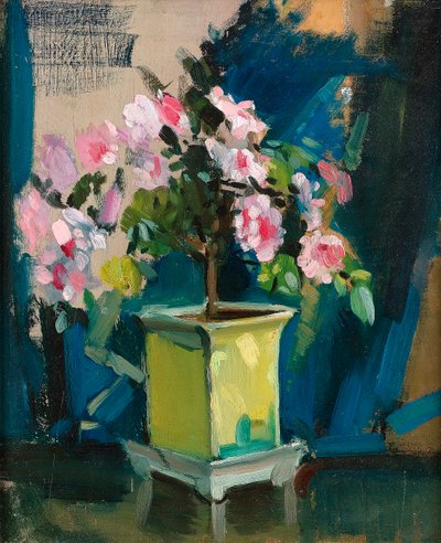 Camellia, ca. 1920 (olje på panel) av Sunderland Rollison