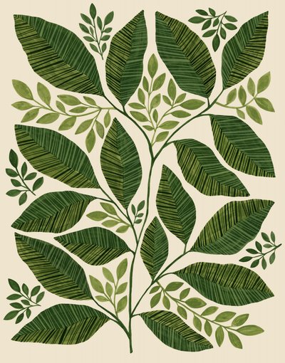  av Susan Black