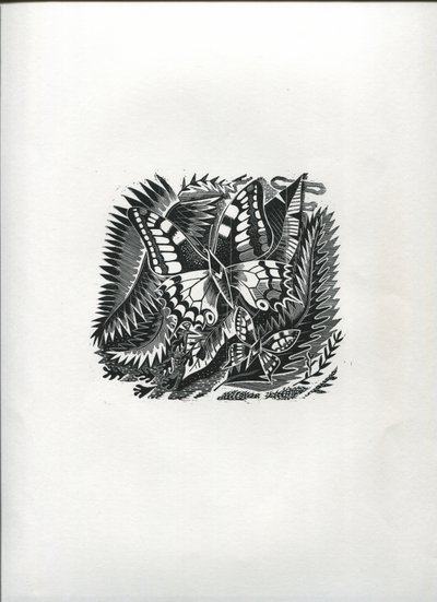 Tropiske sommerfugler (tregravering) av Suzanne Cooper