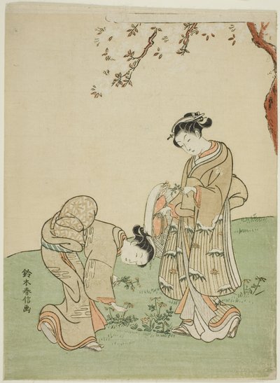 Innsamling av vårblomster av Suzuki Harunobu