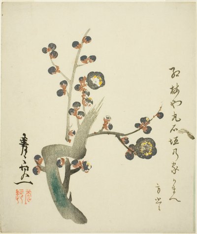  av Suzuki Kiitsu