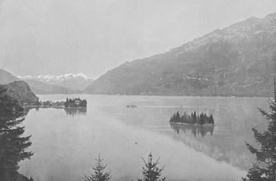 Iseltwald, Lac de Brienz (s/hvitt bilde) av Swiss Photographer