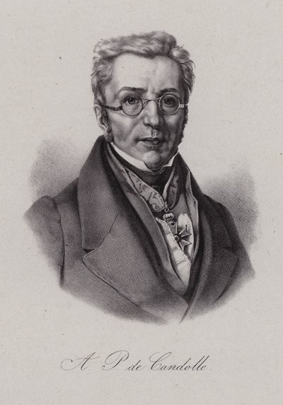 Augustin Pyramus fra Cuba , sveitsisk botaniker (gravering) av Swiss School