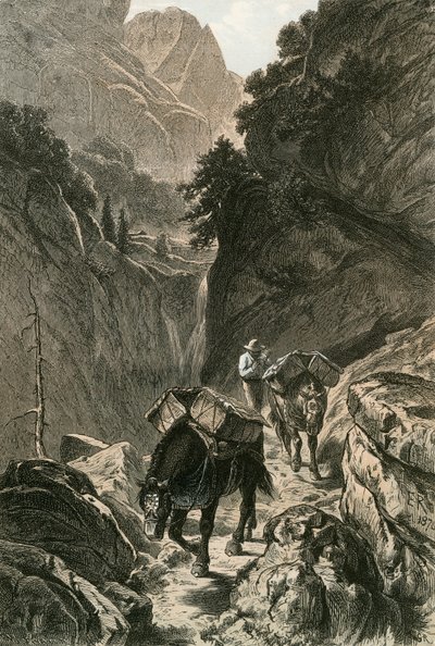 Pakkehester som krysser et fjellpass av Swiss School