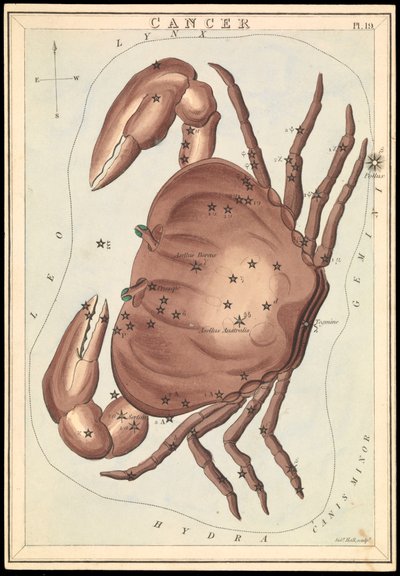 Krepsen, ca. 1825 (kort, papir, silkepapir) av Sydney Hall