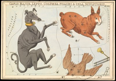 Canis Major. Hare, Noahs due og billedhuggerens celle, ca. 1825 (kort, papir, silkepapir) av Sydney Hall