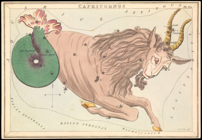 Steinbukken, ca. 1825 (kort, papir, silkepapir) av Sydney Hall