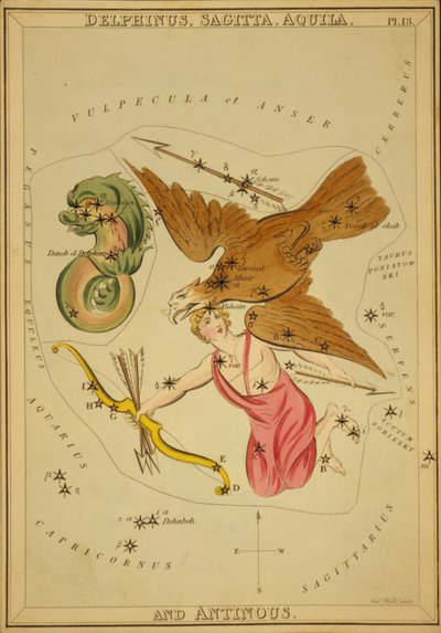 Delphinus, Sagitta, Aquila og Antinous, illustrasjon fra 