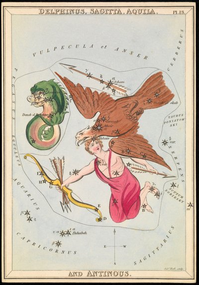 Delphinus, Sagitta, Aquila og Antinous, ca. 1825 (kort, papir, vev) av Sydney Hall