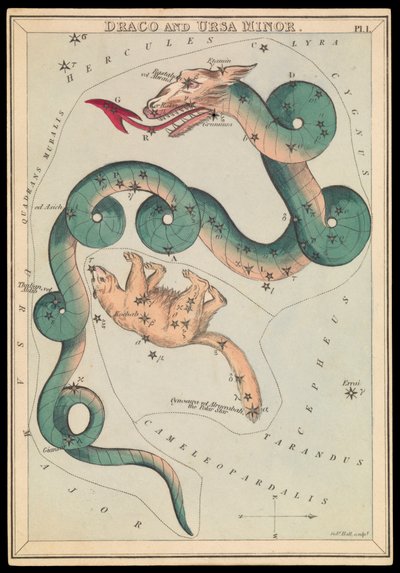 Draco og Lillebjørn, ca. 1825 (kort, papir, silkepapir) av Sydney Hall