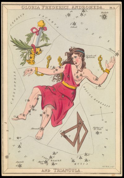 Gloria Frederich, Andromeda og Triangula, ca. 1825 (kort, papir, silkepapir) av Sydney Hall