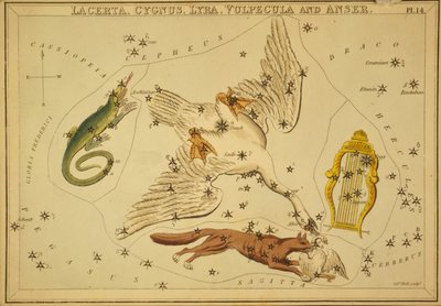 Lizard, Swan, Lyra, Fox and Goose, illustrasjon fra 