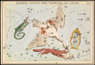 Lacerta, Cygnus, Lyra, Vulpecula og Anser, ca. 1825 (kort, papir, vev) av Sydney Hall