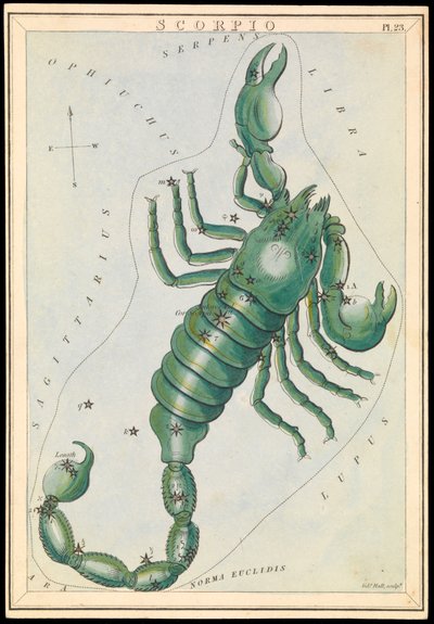 Skorpionen, ca. 1825 (kort, papir, silkepapir) av Sydney Hall