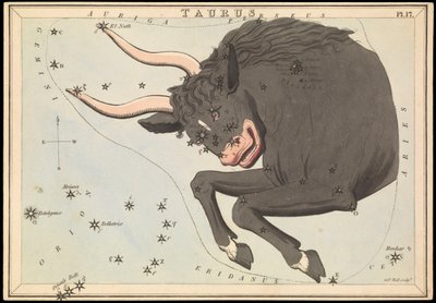 Tyren, ca. 1825 (kort, papir, silkepapir) av Sydney Hall