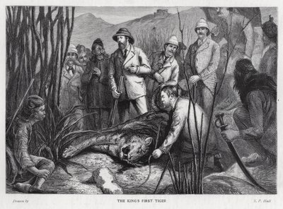 Kong Edward VII med tigeren han har drept (litho) av Sydney Prior (after) Hall
