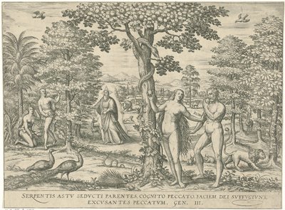 Zondeval Figurer og bilder av bøker (serietittel) av Symon Novelanus (attributed to)