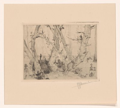 skogutsikt av T. Sterrenburg (signed by artist)
