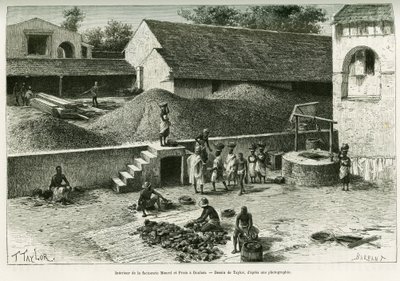 Inne i fabrikken Maurel og Prom, i Boulam, samler og behandler peanøtter, palmemandel og gummi. Gravering av Taylor, etter et fotografi, for å illustrere historien Voyage dans la Senegambie et la Guinee portuguese, i 1888, av kaptein A.Brosselard, av T Taylor