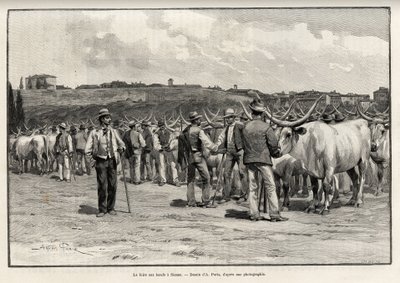 Biffmessen i Siena (Italia). Gravering av Taylor for å illustrere historien "" A travers la Tuscane"" av Eugene Muntz (1845-1902), i Le tour du Monde 1892, regissert av Edouard Charton (1807-1891), Hachette, Paris. av T Taylor